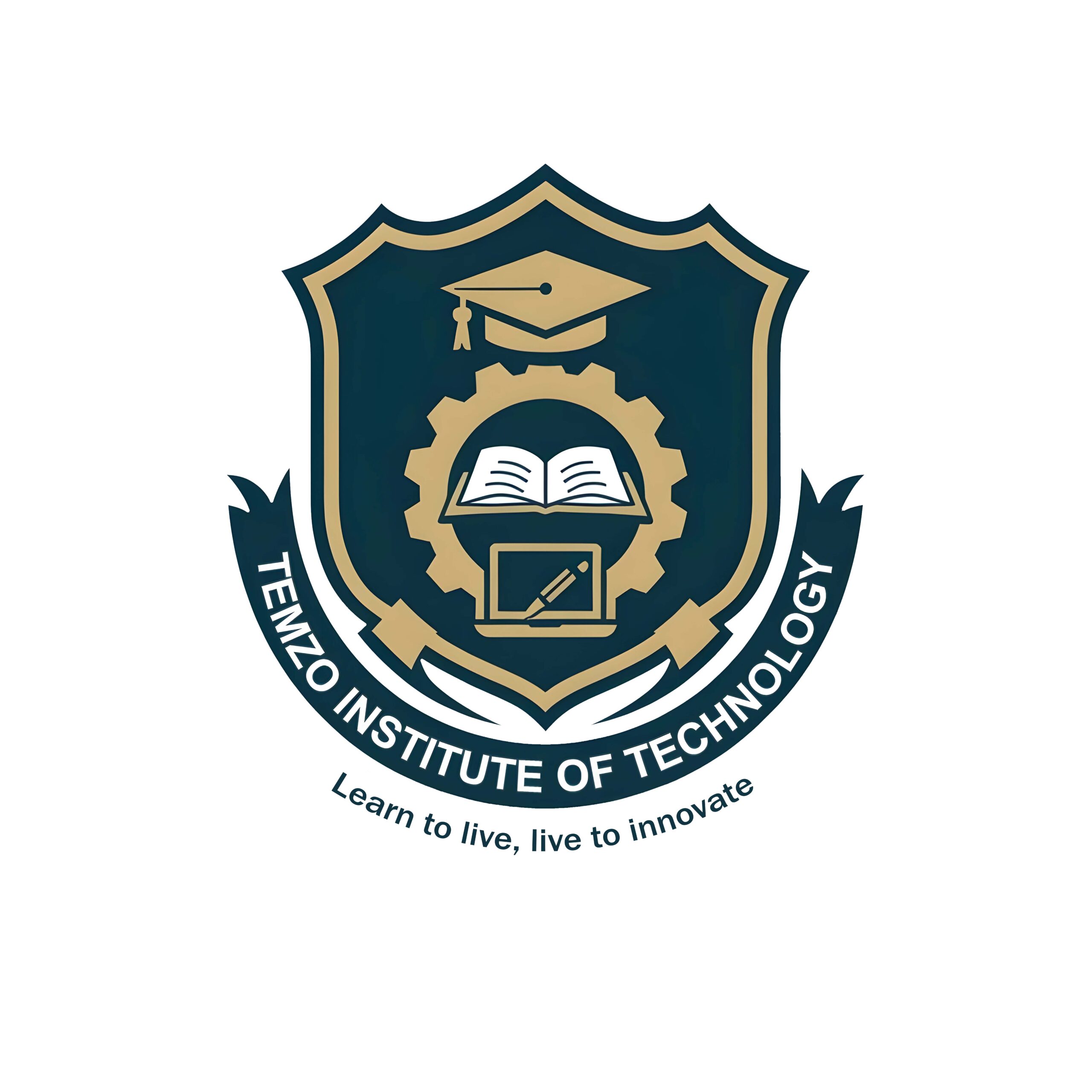Temzo Institute of Technology